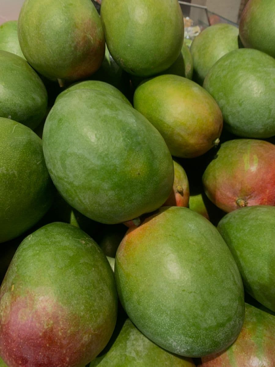 Kesar Mangoes thumbnail 3