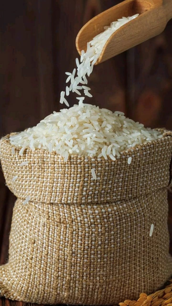 Rice